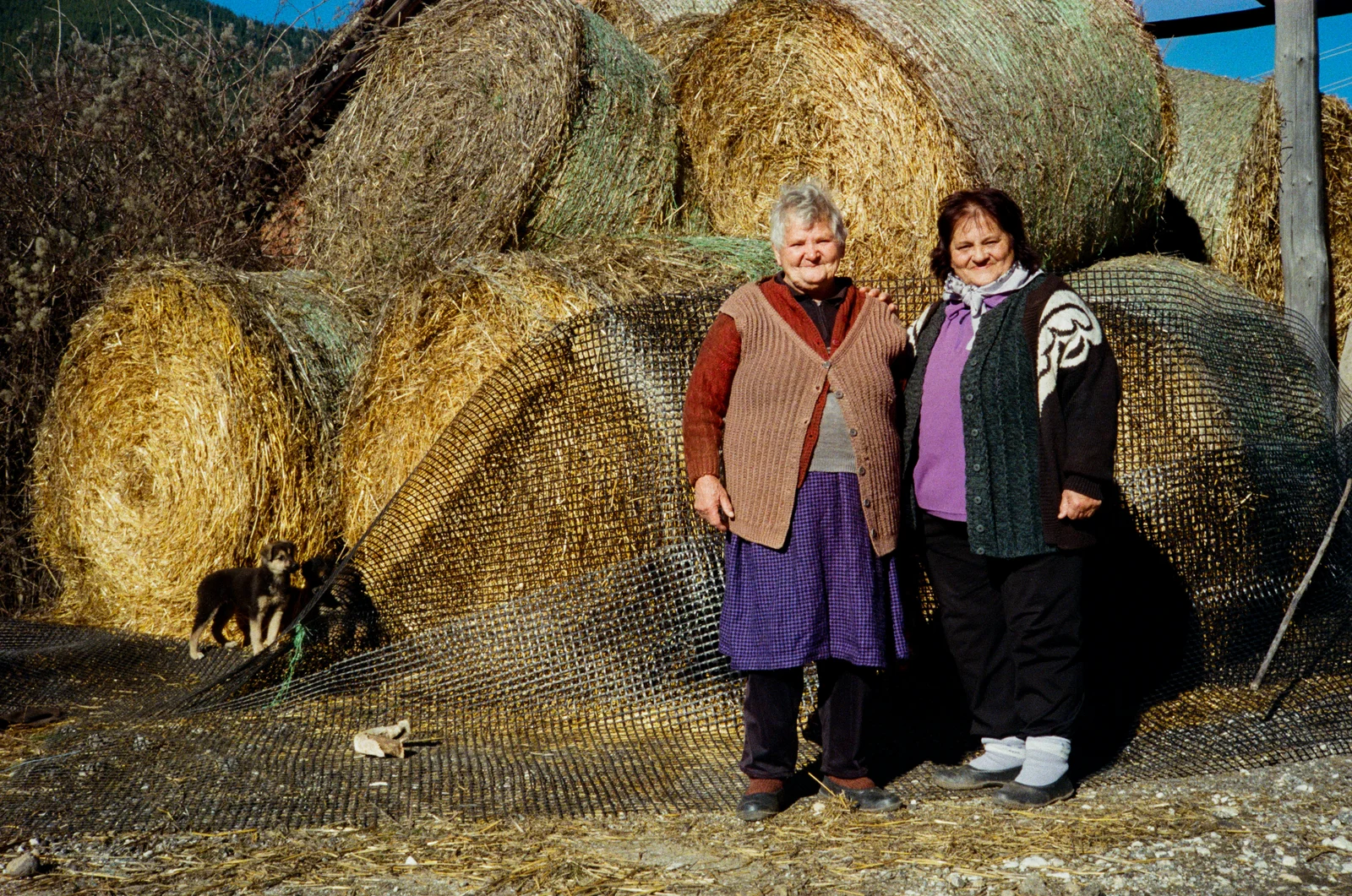 The ladies and their loyal companion
