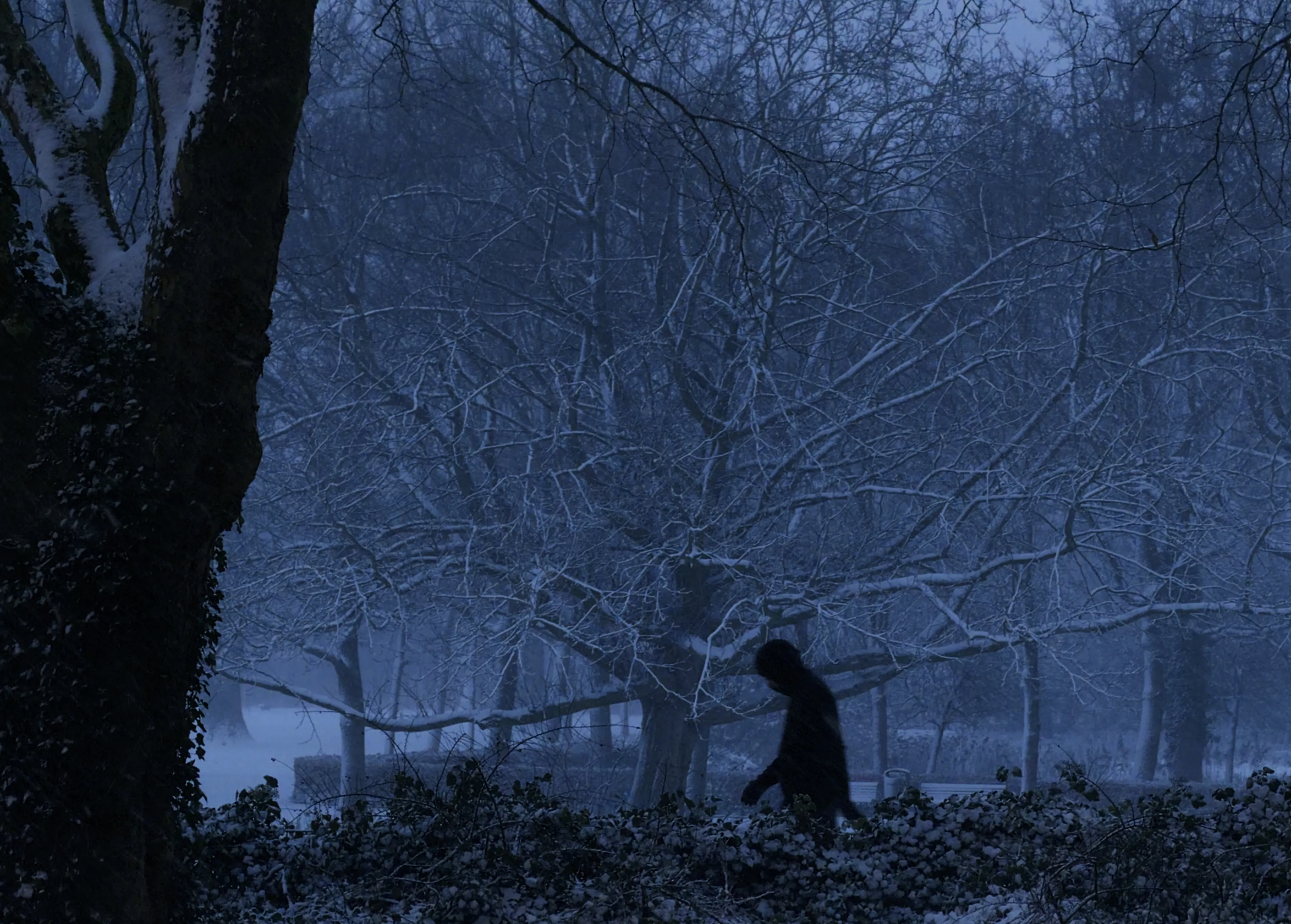 Still from winter-in-amsterdam