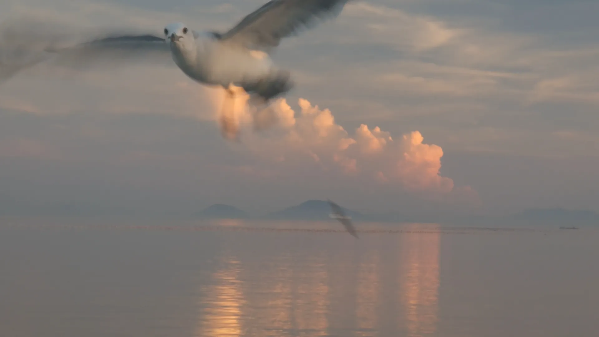 Still from winter-in-amsterdam